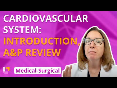 Cardiovascular Physiology in Health and Disease: An Overview