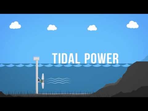 Harnessing Tidal Energy for a Sustainable Future