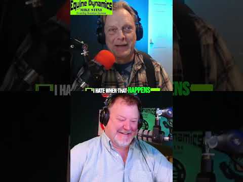 Equine Muscle Anatomy: Insights for Science Enthusiasts