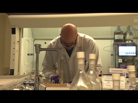 Biotechnology Companies Leading the Charge in Scientific Innovation