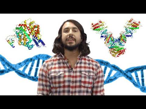 Foundations of Biochemistry for Scientific Engagement