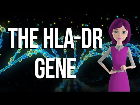 HLA DR Gene’s Role in Immune Response and Disease Research