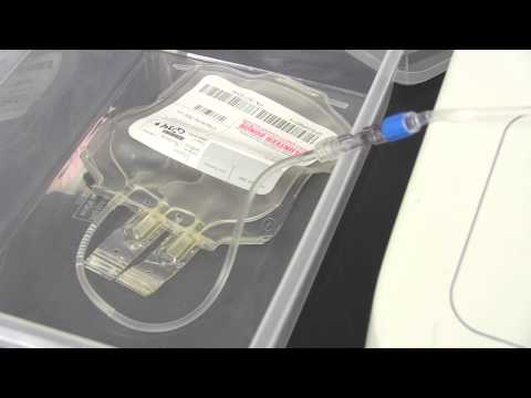 Harnessing the Power of Umbilical Cord Blood for Science