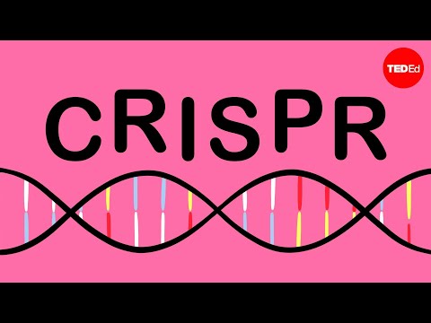 Genetic Engineering Fundamentals and Its Scientific Importance