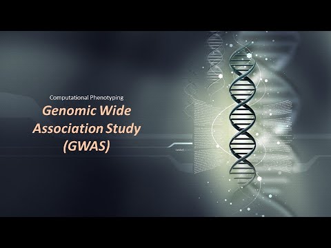 Advancements in GWAS and Their Role in Genetic Research