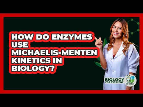 Vmax Enzymes and Their Role in Biological Reactions