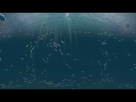 Ocean Climate Change: Science and Outreach for a Sustainable Future