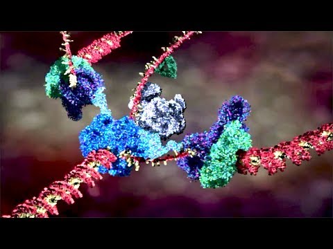 Molecular Biology and Nature's Intricate Connections