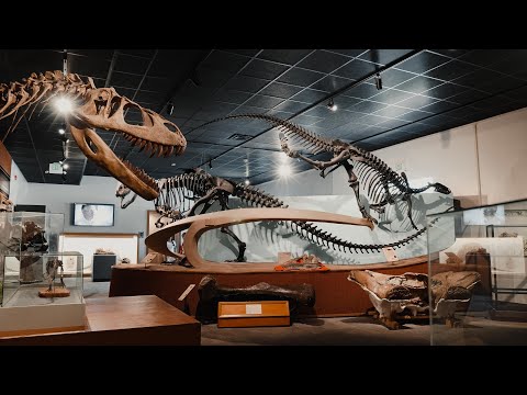 BYU Paleontology Research and Community Engagement Initiatives