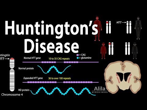 Huntingtin Gene’s Role in Neurodegenerative Diseases