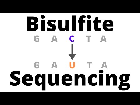 Advancements in Bisulfite Sequencing for Genomic Research