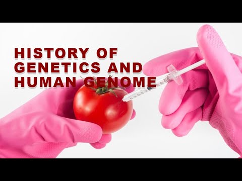 Heredity Unraveled: The Science Behind Genetic Inheritance