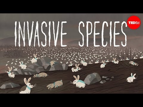 Understanding Invasive Species in Biological Contexts