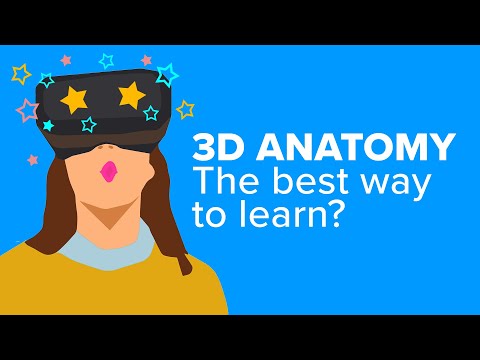 Innovative Approaches to 3D Human Body Anatomy Visualization