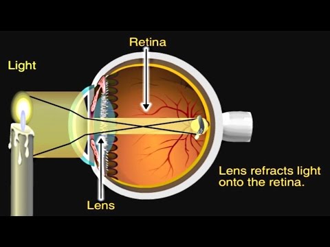 Eye Anatomy: A Scientific Illustration for Better Understanding
