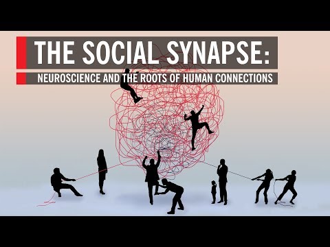 The Intersection of Social Behavior and Neurological Science