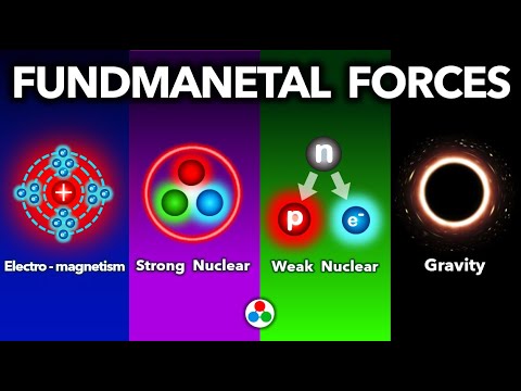 The Power of Forces in Our Physical World