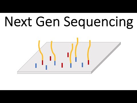Next Generation DNA Sequencing and Its Scientific Promise