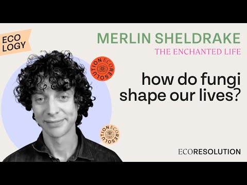 Merlin Sheldrake’s Journey into the Fungal Realm