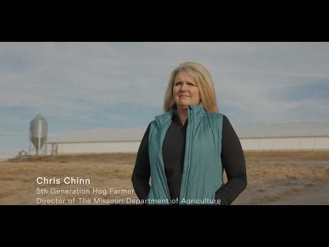 Enviropig Innovation: Reducing Environmental Footprint in Farming