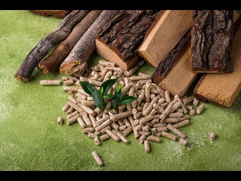 Innovative Biomass Systems for Sustainable Energy Solutions