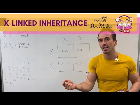 X Linked Dominant Inheritance and Its Genetic Implications
