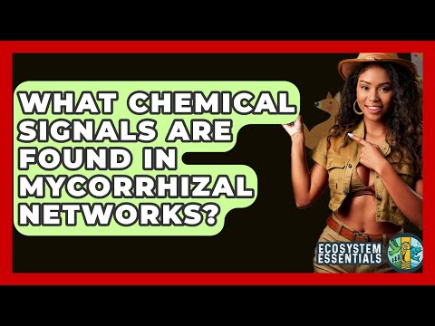 Connecting Scientists Through a Vibrant Biology Network