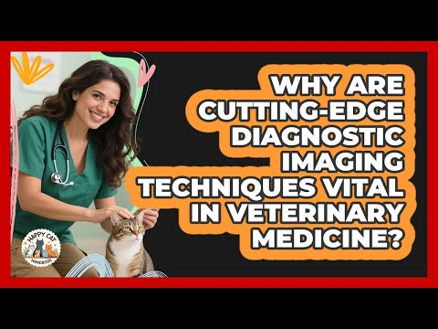 Veterinary Anatomy Insights for Future Animal Care Professionals