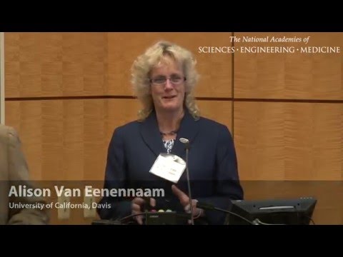 Science and Ethics of Genetically Modified Animals