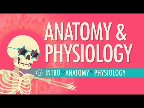 Engaging Human Anatomy and Physiology for All Learners