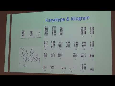 Advances in Research on Monogenic Diseases and Their Treatments