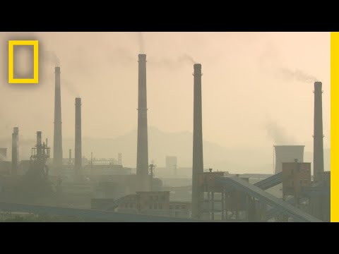 Photochemical Smog: Causes, Effects, and Solutions