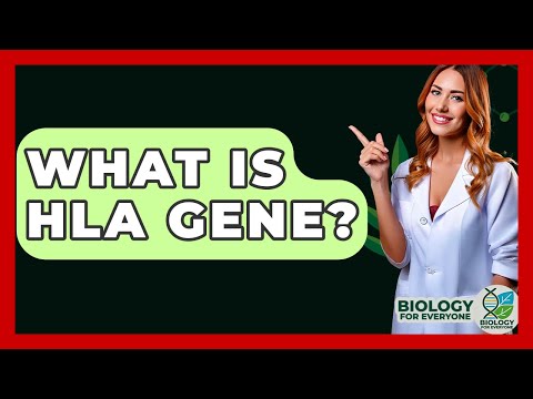 The Role of HLA Genes in Immune Response and Disease