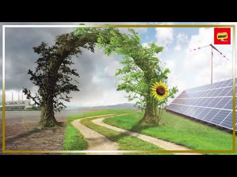 Tackling CO2 Emissions for a Sustainable Climate Future