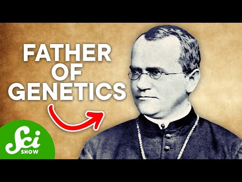 Celebrating Gregor Mendel: Pioneer of Genetic Science