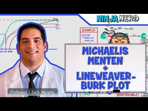 Applications and Importance of the Lineweaver Burk Plot