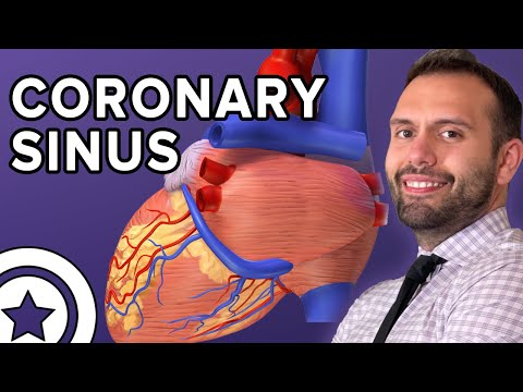 Coronary Sinus Anatomy and Its Role in Cardiac Health