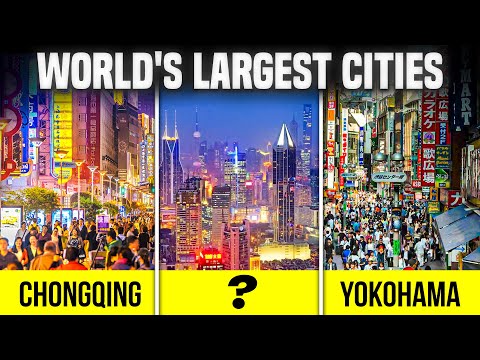 Population Dynamics in the Most Populated City on Earth