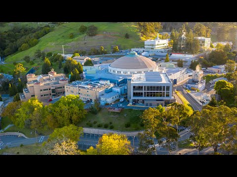 Advancing Science with X Ray Spectrometry Techniques