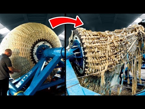 Innovations in Space Exploration and Scientific Outreach