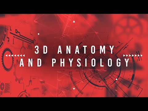 Innovations in Human Anatomy and Physiology Education