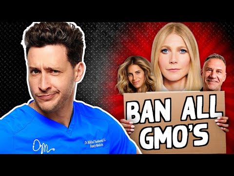 Genetically Modified Organisms in Modern Food Systems