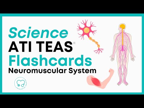 Anatomy and Physiology Flashcards for Science Enthusiasts