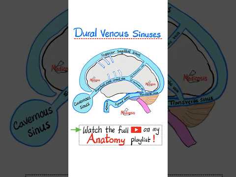 Regional Anatomy in Science: Bridging Knowledge and Outreach