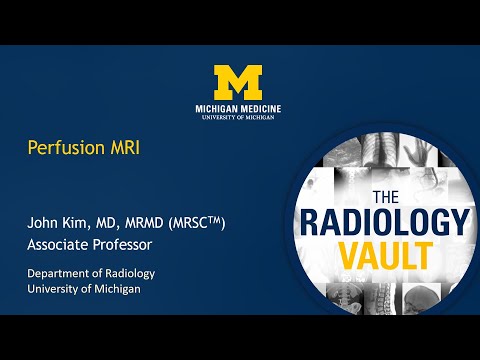 Advancements in MRI Perfusion Techniques for Medical Research