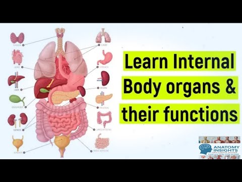 Human Anatomy: Insights into Structure and Function