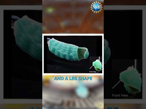 Turtle Bot: Advancing Robotics through Nature-Inspired Design