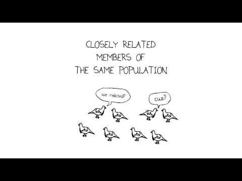 Genetics and Heredity: Foundations of Biological Diversity