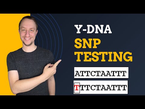 SNP Biology: Advancing Precision in Genetic Research