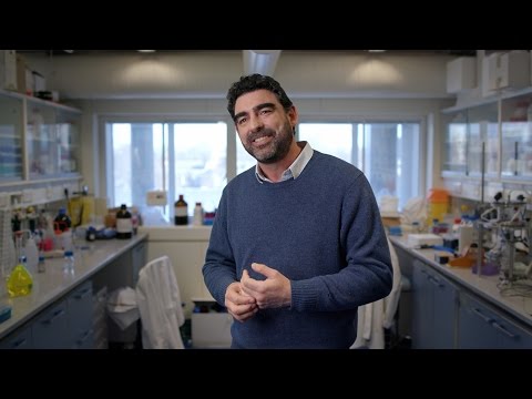 Nick Lane: Pioneering Biochemistry and Scientific Outreach